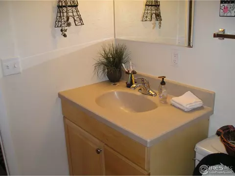 2913 Martingale Dr, Berthoud, CO 80513 photo 15