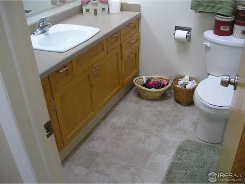 2913 Martingale Dr, Berthoud, CO 80513 photo 10