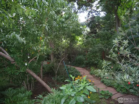 419 Canyon Blvd, Boulder, CO 80302 photo 16