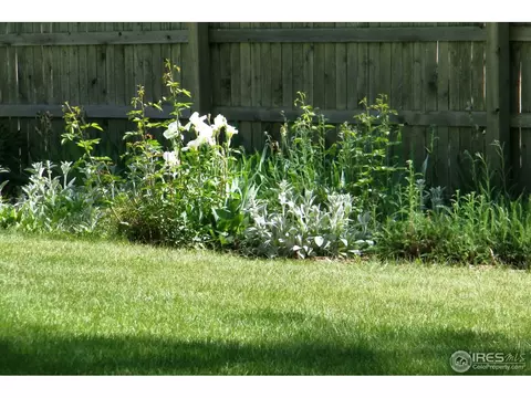 4647 Devonshire St, Boulder, CO 80301 photo 20