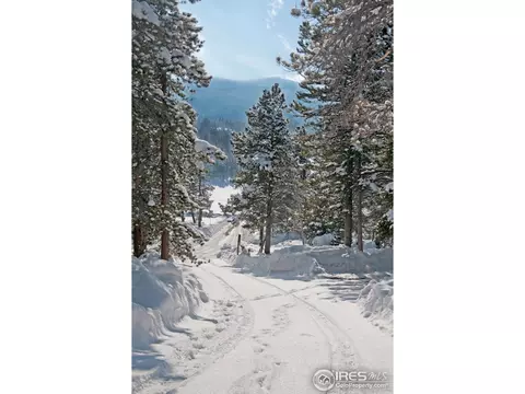 107 Dynamite Dr, Black Hawk, CO 80422 photo 12