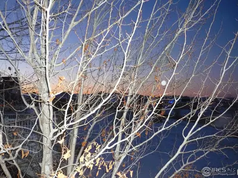 2072 River West Dr, Windsor, CO 80550 photo 12