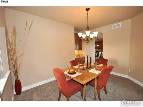 6976 Fireside Dr, Timnath, CO 80547 photo 3