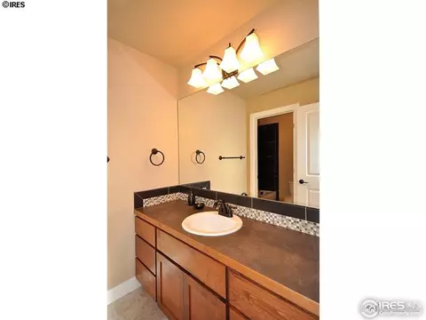 6976 Fireside Dr, Timnath, CO 80547 photo 16