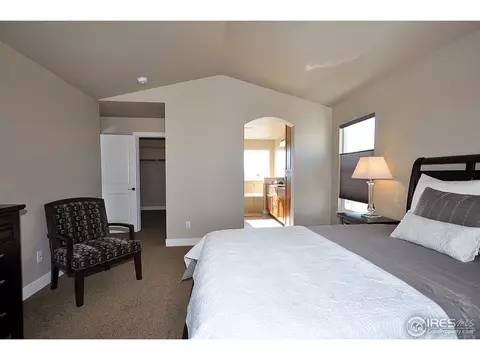 6844 Fireside Dr, Timnath, CO 80547 photo 15