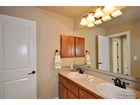 6844 Fireside Dr, Timnath, CO 80547 photo 21
