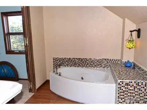 994 Longmont Dam Rd, Lyons, CO 80540 photo 8