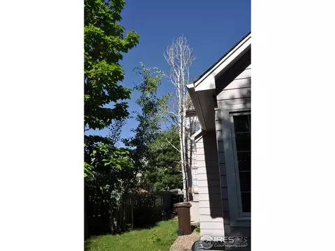 1504 Lodge Ct, Boulder, CO 80303 photo 19