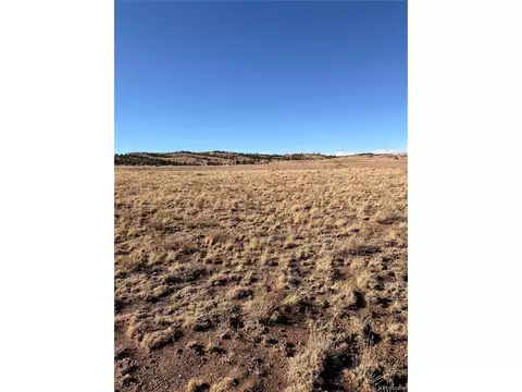 21 Thrush Ln, Hartsel, CO 80449 photo 11