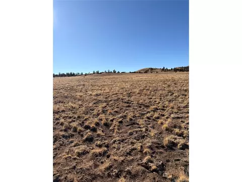 21 Thrush Ln, Hartsel, CO 80449 photo 7