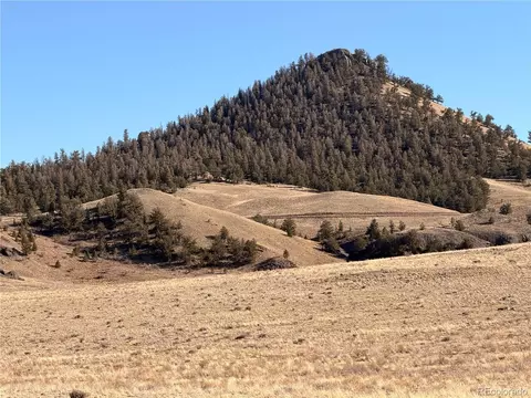 21 Thrush Ln, Hartsel, CO 80449 photo 17