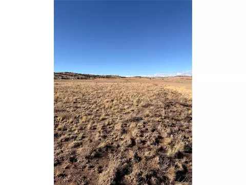 21 Thrush Ln, Hartsel, CO 80449 photo 10