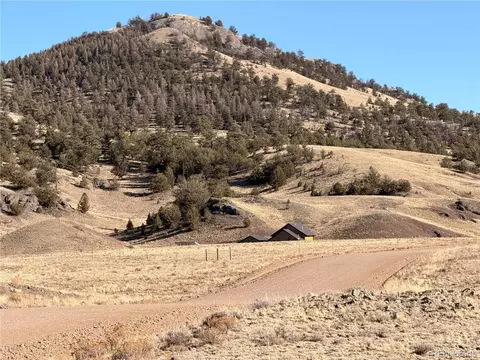 21 Thrush Ln, Hartsel, CO 80449 photo 4