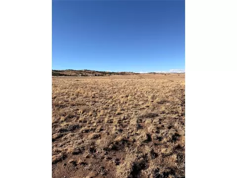 21 Thrush Ln, Hartsel, CO 80449 photo 9