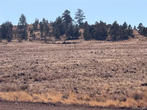 21 Thrush Ln, Hartsel, CO 80449 photo 12