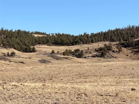 21 Thrush Ln, Hartsel, CO 80449 photo 3