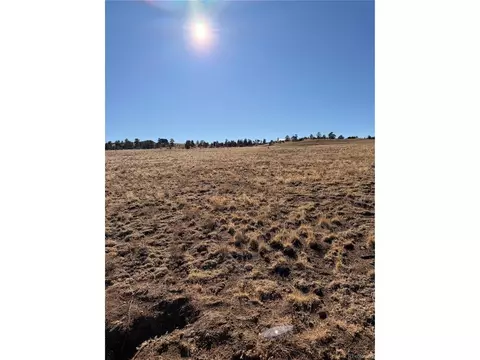 21 Thrush Ln, Hartsel, CO 80449 photo 6