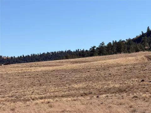 21 Thrush Ln, Hartsel, CO 80449 photo 14
