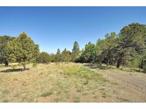 125 Deer Run, Mosca, CO 81146 photo 33