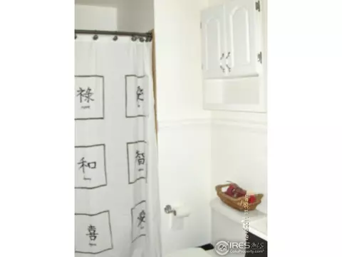 4427 E 118th Ct, Thornton, CO 80233 photo 13