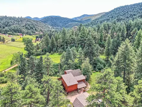 19145 Fox Den Way, Morrison, CO 80465 photo 30