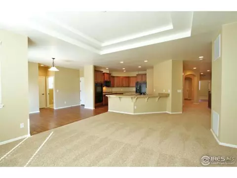 6327 Spring Valley Rd, Timnath, CO 80547 photo 10
