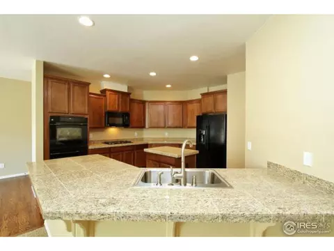 6327 Spring Valley Rd, Timnath, CO 80547 photo 11