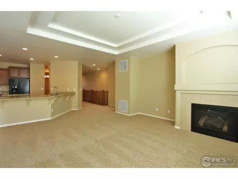 6327 Spring Valley Rd, Timnath, CO 80547 photo 9