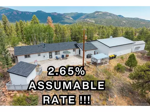 33758 Harmon Rd, Pine, CO 80470