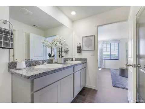 6054 Holstein Dr, Windsor, CO 80528 photo 13