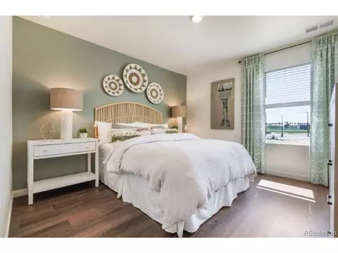 6054 Holstein Dr, Windsor, CO 80528 photo 17