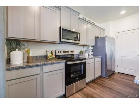 6054 Holstein Dr, Windsor, CO 80528 photo 10