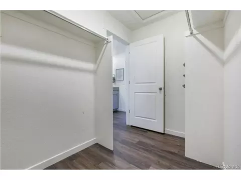 6054 Holstein Dr, Windsor, CO 80528 photo 14