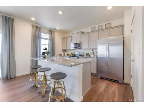 6054 Holstein Dr, Windsor, CO 80528 photo 8