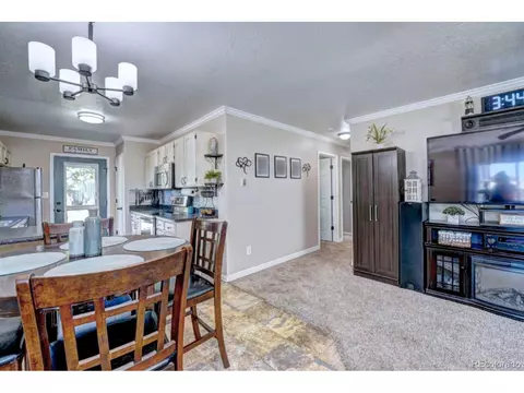 1000 Redbud Ct, Fruita, CO 81521 photo 10