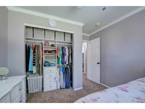 1000 Redbud Ct, Fruita, CO 81521 photo 17