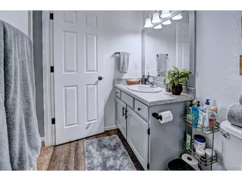 1000 Redbud Ct, Fruita, CO 81521 photo 23