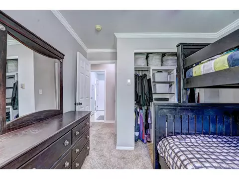 1000 Redbud Ct, Fruita, CO 81521 photo 15