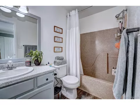 1000 Redbud Ct, Fruita, CO 81521 photo 22