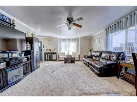 1000 Redbud Ct, Fruita, CO 81521 photo 8
