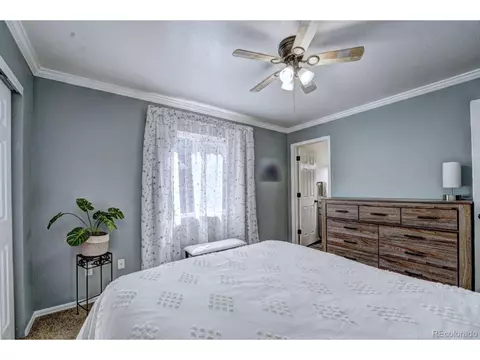 1000 Redbud Ct, Fruita, CO 81521 photo 18