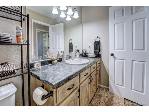 1000 Redbud Ct, Fruita, CO 81521 photo 21