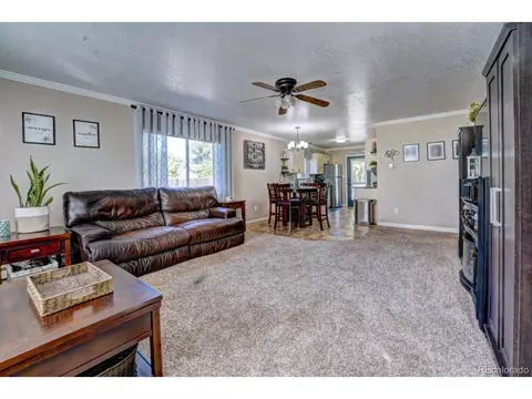 1000 Redbud Ct, Fruita, CO 81521 photo 9