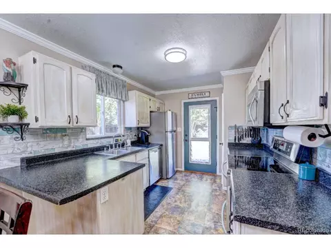 1000 Redbud Ct, Fruita, CO 81521 photo 11