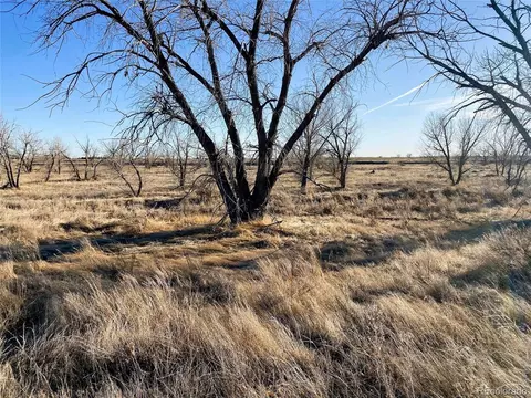 Undisclosed, Wiggins, CO 80654 photo 8