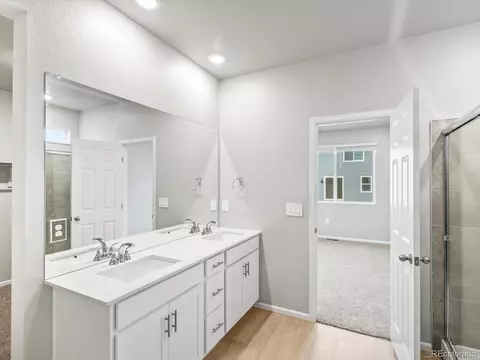 Bath - 1603 Nathan River Dr, Windsor, CO 80550 photo 4 of 4