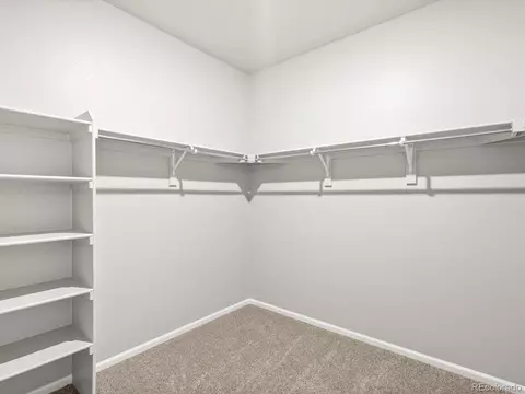 Other - 1603 Nathan River Dr, Windsor, CO 80550 photo 5 of 6