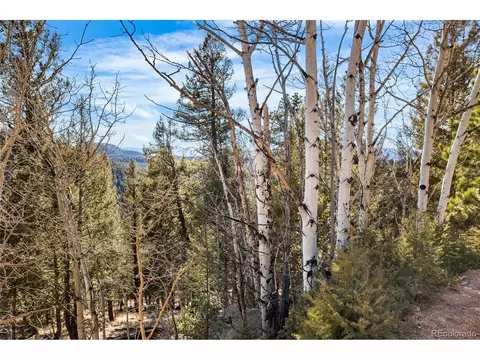 35441 Upper Aspen Ln, Pine, CO 80470 photo 12