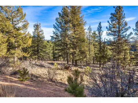 35441 Upper Aspen Ln, Pine, CO 80470 photo 7