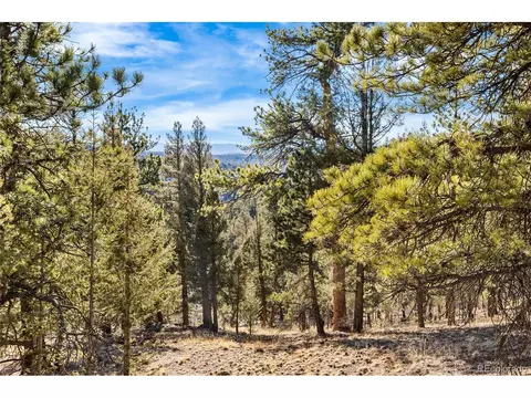35441 Upper Aspen Ln, Pine, CO 80470 photo 10